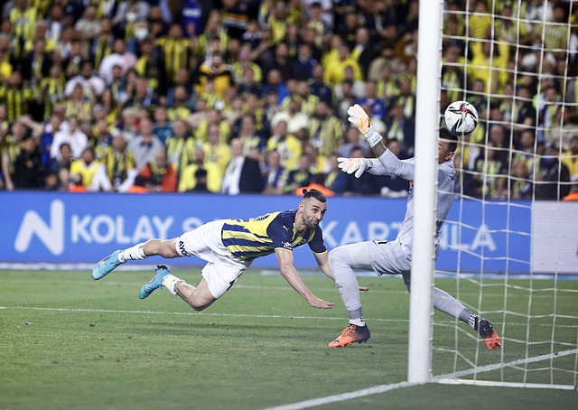 意味着球队 意味着球队