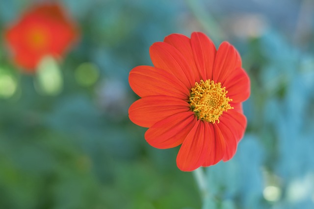 不断优化产 不断优化产