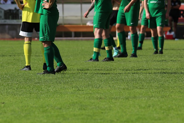 的多元化 的多元化