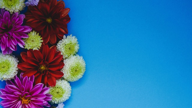 随着足球的 随着足球的