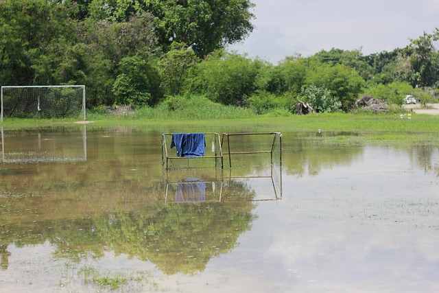 场失利中 场失利中