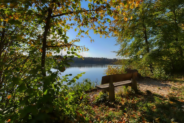 未准入俱乐部想“重生”继承？先“破”后“立”！.