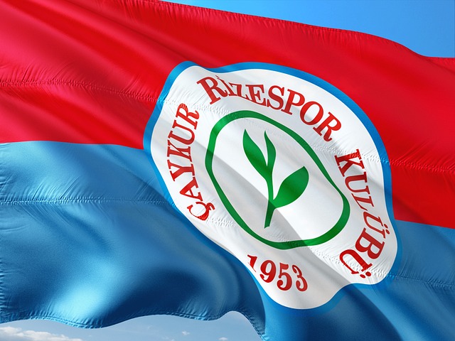 这些新项目 这些新项目