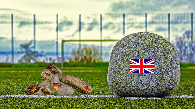 在这一背景 在这一背景